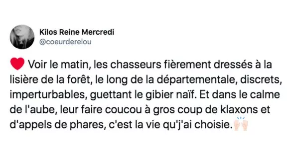 Image de couverture de l'article : Le Comptwoir du 31 décembre 2020 : les meilleurs tweets