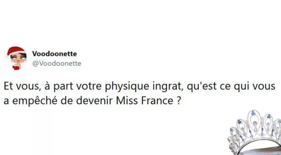 Image de couverture de l'article : Les 50 meilleurs tweets sur Miss France 2021