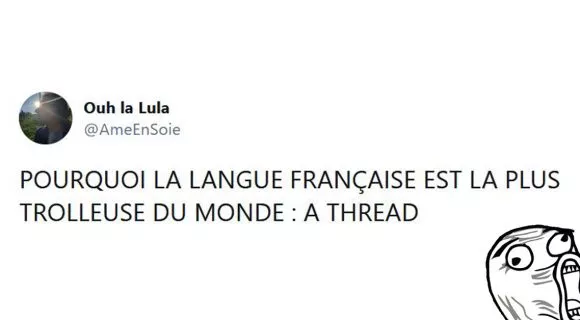 Image de couverture de l'article : Thread : le français, cette langue qui se fiche de nous