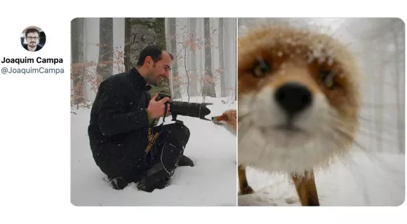 Image de couverture de l'article : Thread : quand les animaux interrompent les photographes naturalistes