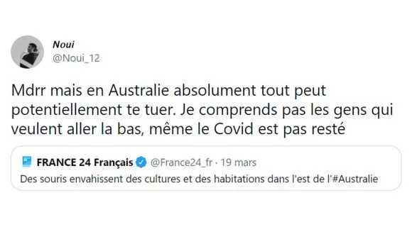 Image de couverture de l'article : Mais qui a lancé une malédiction sur l’Australie ?