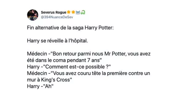 Image de couverture de l'article : Les 23 meilleurs tweets de la semaine sur Harry Potter