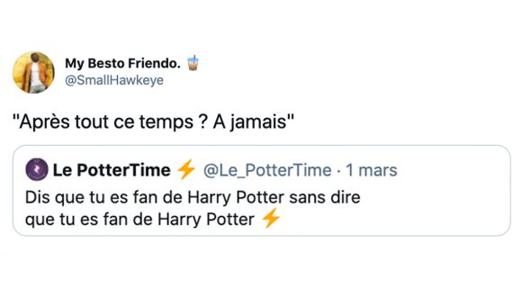 Image de couverture de l'article : Les meilleurs tweets Harry Potter de la semaine