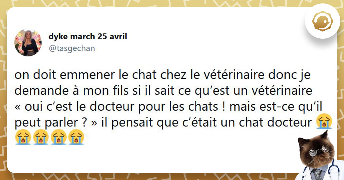 Les Enfants Sont Formidables Top Des Tweets De La Semaine 27 Twog