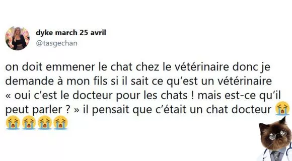 Image de couverture de l'article : Les enfants sont formidables : top 20 des tweets de la semaine #27