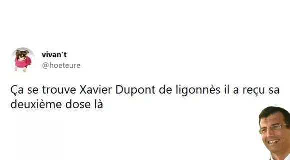 Image de couverture de l'article : Xavier Dupont de Ligonnès est-il parmi nous ?