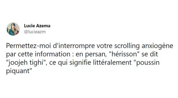 Image de couverture de l'article : Le Comptwoir du 12 avril 2021 : les meilleurs tweets