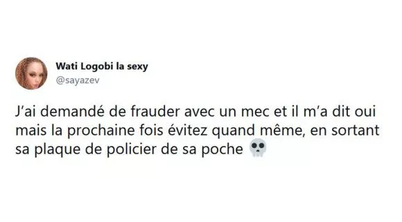 Image de couverture de l'article : Les 15 meilleurs tweets sur les fraudeurs, attention v’la le contrôleur