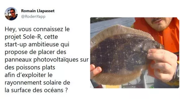Image de couverture de l'article : Thread : mettre des panneaux solaires sur des poissons, le projet révolutionnaire