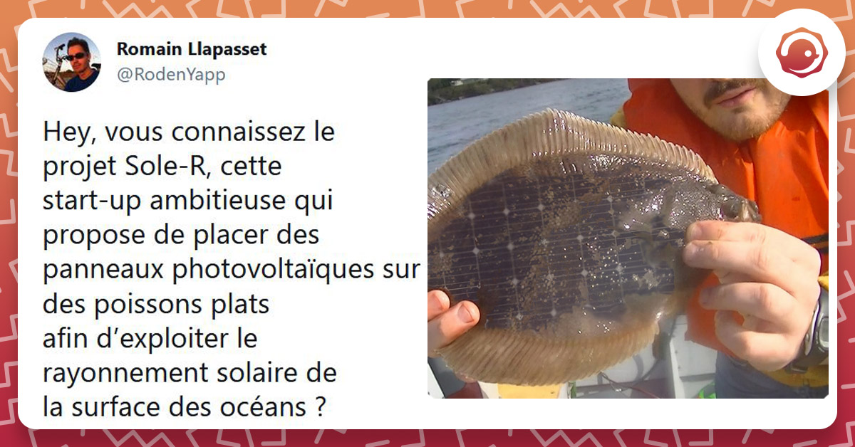 Thread Mettre Des Panneaux Solaires Sur Des Poissons Le Projet Thread Mettre Des Panneaux Solaires Sur Des Poissons Le Projet
