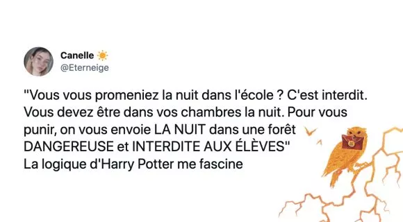 Image de couverture de l'article : Les 27 meilleurs tweets d’Harry Potter à l’école des sorciers