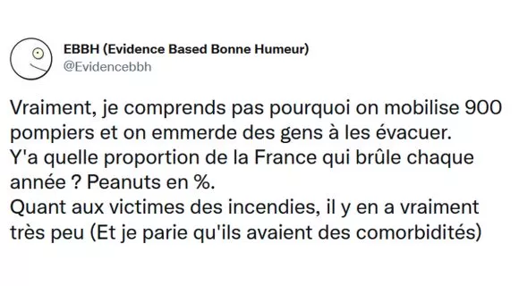 Image de couverture de l'article : Et si on comparait le coronavirus aux incendies ?