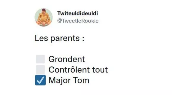 Image de couverture de l'article : Les 15 meilleurs tweets de @TweetleRookie