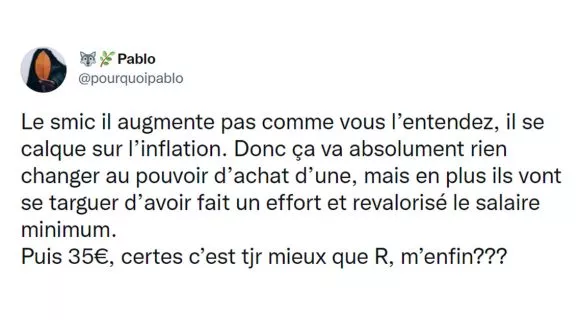 Image de couverture de l'article : Top 15 des tweets sur la revalorisation du SMIC, cette fausse bonne nouvelle