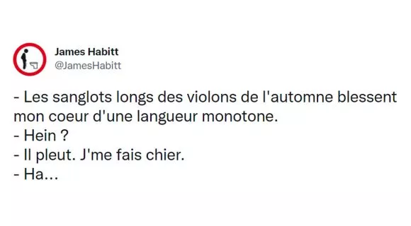 Image de couverture de l'article : Top 17 des tweets sur l’automne, la saison des plaids et de la mélancolie