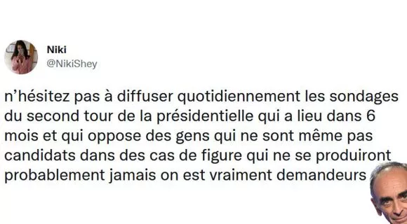 Image de couverture de l'article : Eric Zemmour déjà au second tour, pas besoin de voter