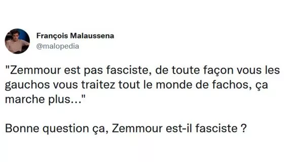 Image de couverture de l'article : Thread : Éric Zemmour est-il vraiment fasciste ?