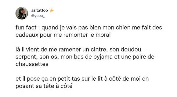 Image de couverture de l'article : Le Comptwoir du 20 décembre 2021 : les meilleurs tweets