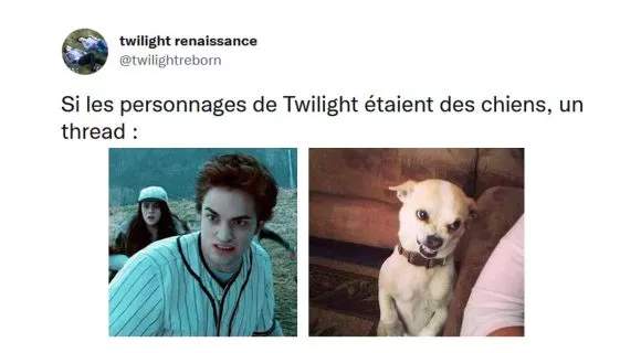 Image de couverture de l'article : Thread : si les personnages de Twilight étaient des chiens