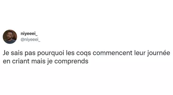 Image de couverture de l'article : Top 22 des tweets sur le réveil, premier et pire moment de la journée