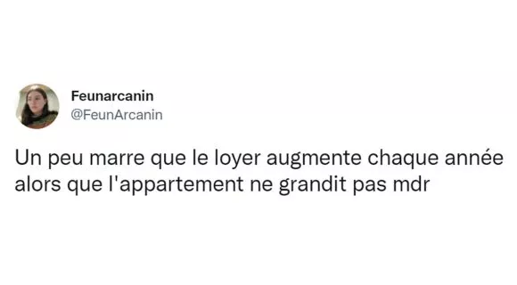 Image de couverture de l'article : Top 14 des tweets sur le loyer, ça se paye tous les mois ce truc-là ??