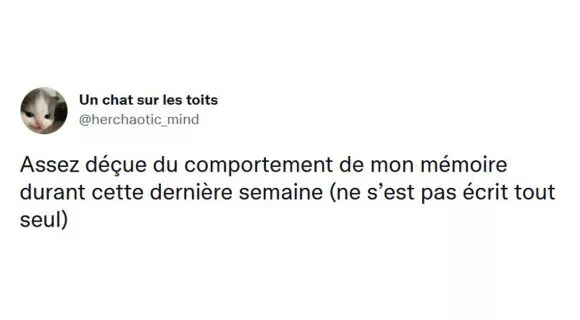 Image de couverture de l'article : Les 15 meilleurs tweets sur le mémoire, pourquoi je me suis lancé là-dedans ?