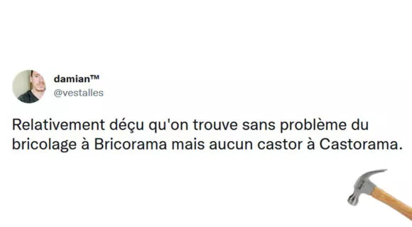 Image de couverture de l'article : Les 15 meilleurs tweets sur le bricolage, et voilà j’ai une écharde dans le doigt !