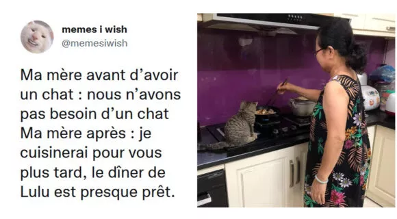 Image de couverture de l'article : Top 15 des parents qui sont fous de leur animaux de compagnie