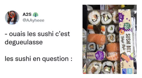 Image de couverture de l'article : Les 15 meilleurs tweets sur les sushis, quelle douceur mes ami(e)s !