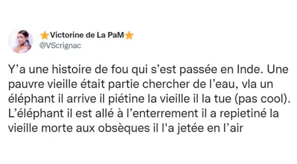 Image de couverture de l'article : L’histoire incroyable de l’éléphant tueur possédé