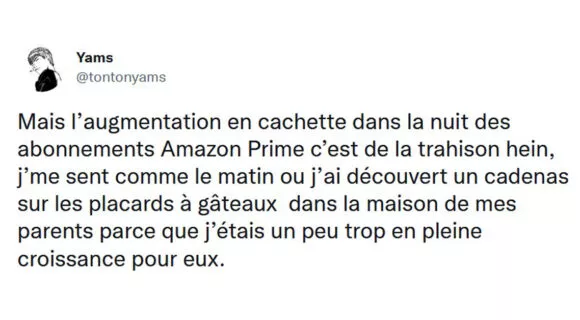 Image de couverture de l'article : Les 15 meilleurs tweets sur Amazon Prime, comment ça, ça a augmenté ?