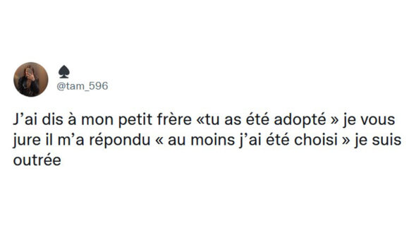 Image de couverture de l'article : Top 17 des meilleurs tweets sur les petits frères