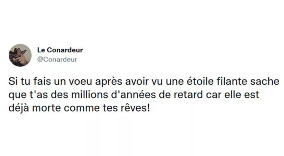 Image de couverture de l'article : Les 15 meilleurs tweets sur les étoiles filantes, fais un vœux !