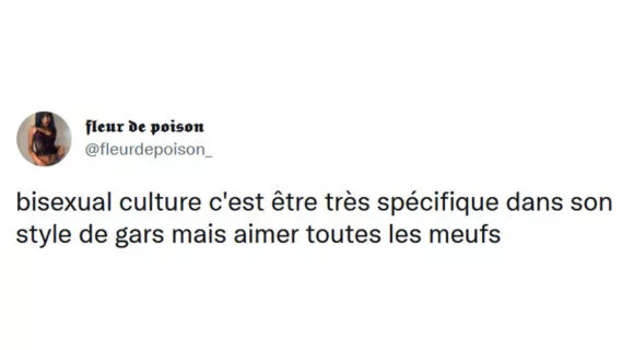 Image de couverture de l'article : Top 15 des tweets sur la bisexualité