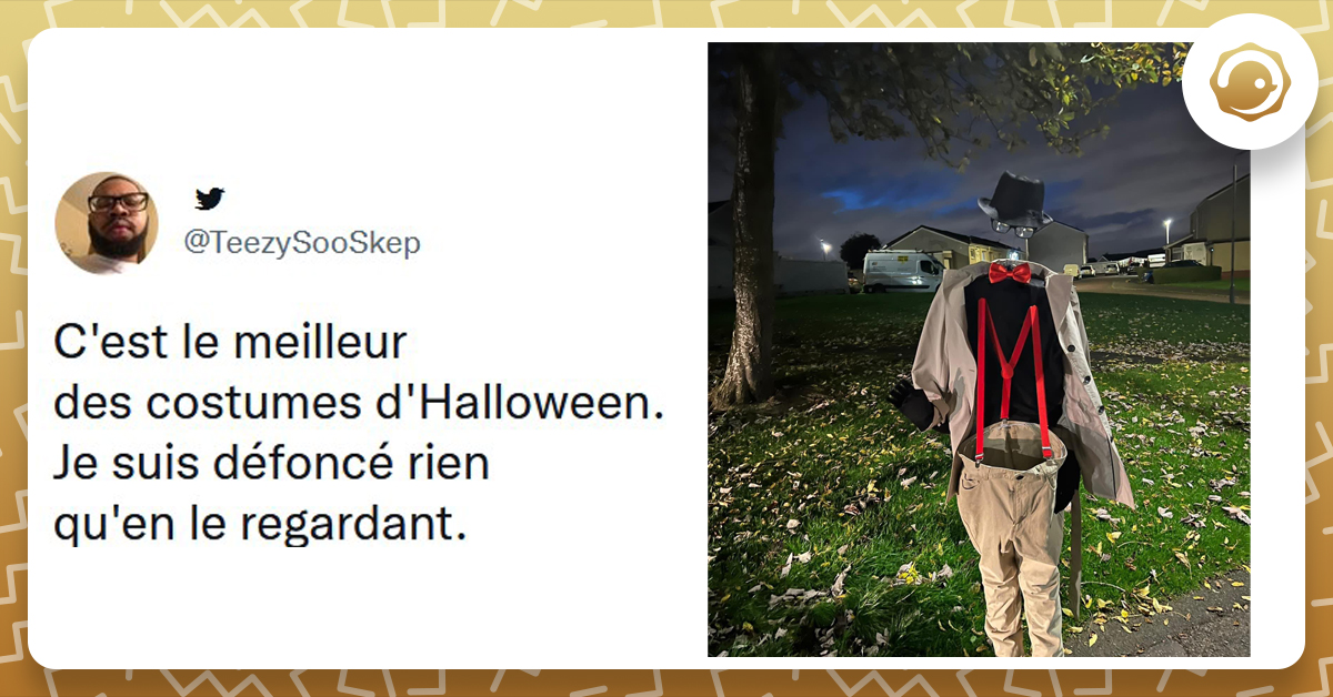Top 15 des meilleurs costumes d'Halloween Twog