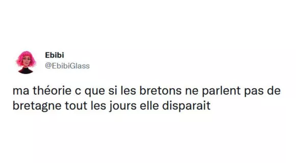 Image de couverture de l'article : Top 18 des meilleurs tweets sur les Bretons
