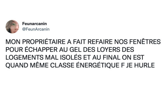 Image de couverture de l'article : Top 15 des meilleurs tweets sur les proprios, ces ingrats !