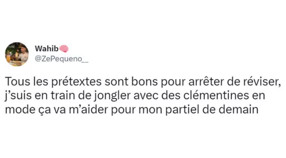 Image de couverture de l'article : Top 16 des tweets sur les devoirs et révisions, de bien mauvais souvenirs