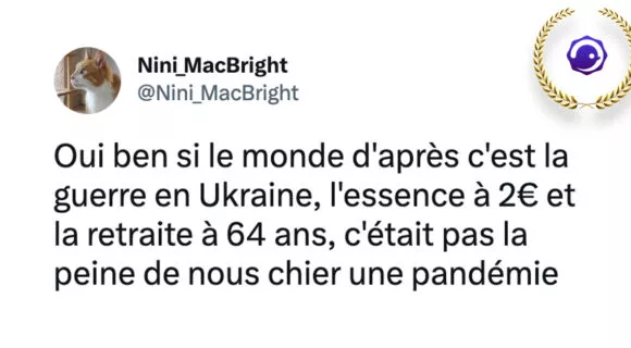 Image de couverture de l'article : Les 20 tweets les plus drôles de la semaine #38