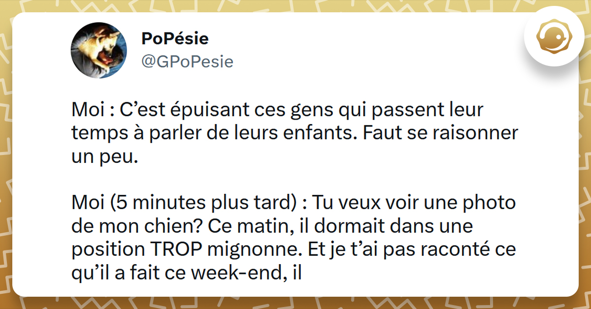 Top 15 Des Meilleurs Tweets Sur Les Chiens - Twog