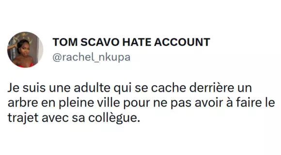 Image de couverture de l'article : Top 15 des meilleurs tweets sur les collègues