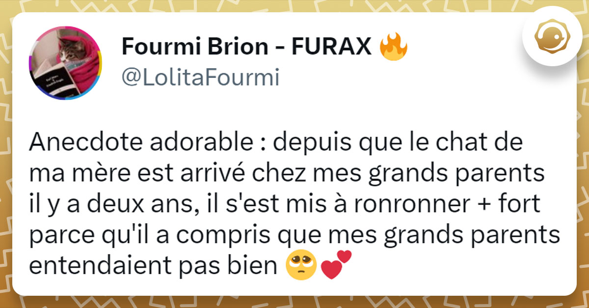 Tweet de @LolitaFourmi : "Anecdote adorable : depuis que le chat de ma mère est arrivé chez mes grands parents il y a deux ans, il s'est mis à ronronner + fort parce qu'il a compris que mes grands parents entendaient pas bien"