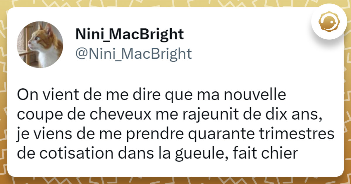 Tweet de @Nini_MacBright : "On vient de me dire que ma nouvelle coupe de cheveux me rajeunit de dix ans, je viens de me prendre quarante trimestres de cotisation dans la gueule, fait chier"