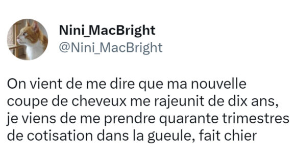 Image de couverture de l'article : Top 15 des meilleurs tweets sur les cheveux, vous en avez combien vous ?