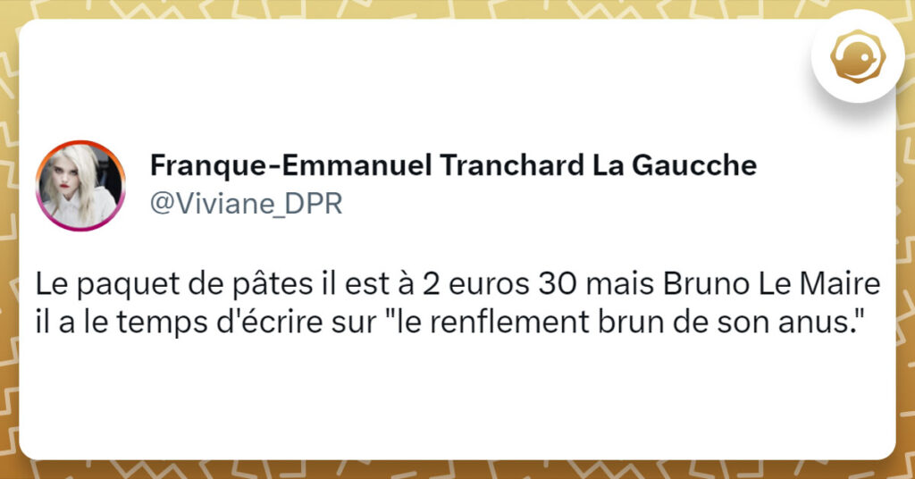 Tweet de @Viviane_DPR sur le dernier roman de Bruno Le Maire : "Le paquet de p&acirc;tes il est &agrave; 2 euros 30 mais Bruno Le Maire il a le temps d'&eacute;crire sur "le renflement brun de son anus."