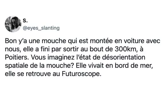 Image de couverture de l'article : Top 15 des meilleurs tweets sur le Futuroscope