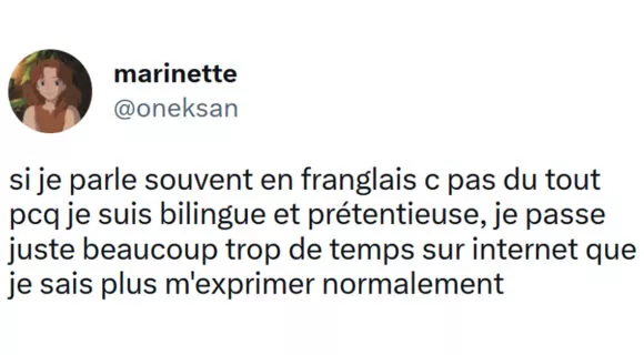 Image de couverture de l'article : Top 15 des meilleurs tweets sur le franglais, tu comprends my friend ?