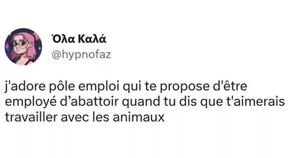 Image de couverture de l'article : Top 16 des meilleurs tweets sur Pôle emploi