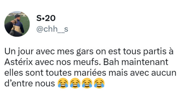 Image de couverture de l'article : Top 14 des tweets sur le Parc Astérix, par Toutatis y’a la queue