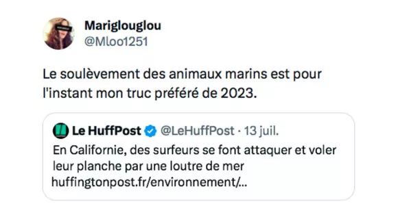 Image de couverture de l'article : Le Comptwoir du 14 juillet 2023 : les meilleurs tweets